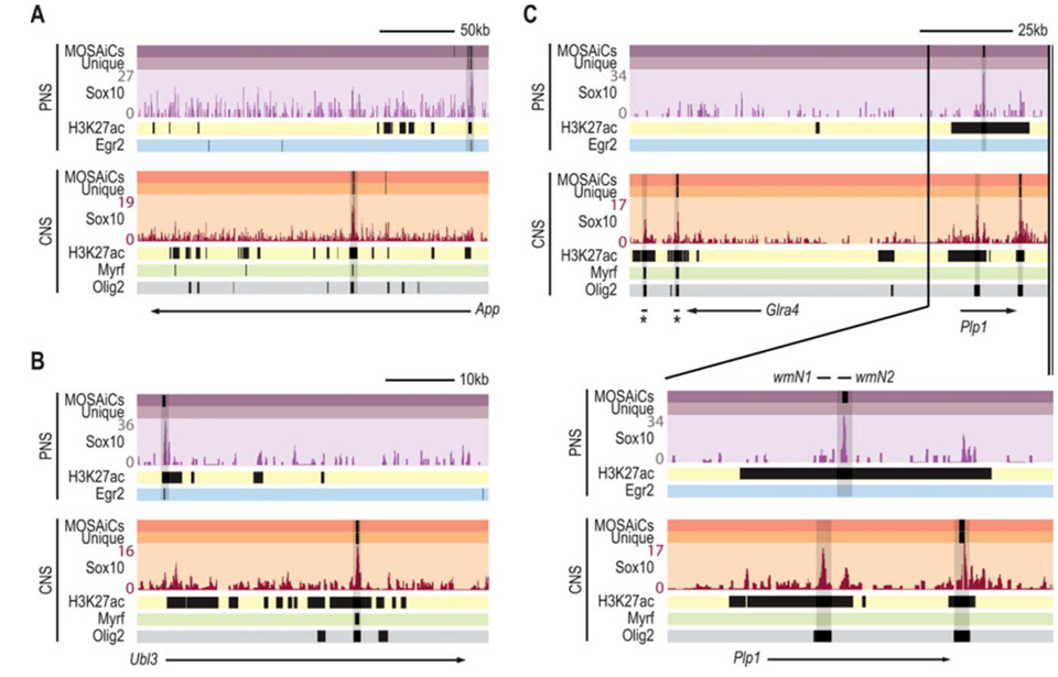 Svaren Slide of the Week image 2016